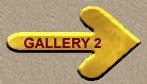 GALLERY 2