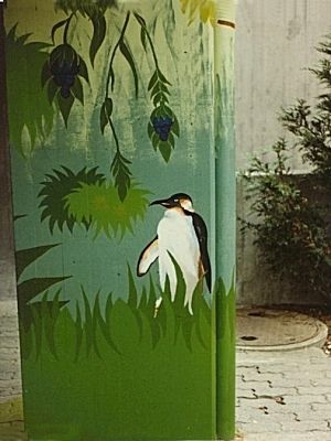 PETIT PINGOUIN... PERDU!...