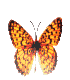 Virtual gallery of butterflies made out from cutting and collage from old banknotes